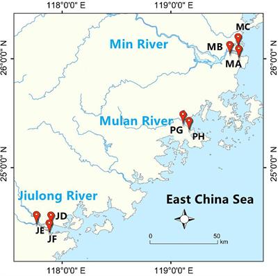 Dissimilatory nitrate reduction processes in surface sediments of shrimp ponds during the culture period